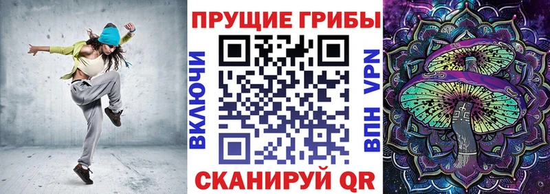 kraken вход  Новотитаровская  Псилоцибиновые грибы прущие грибы 