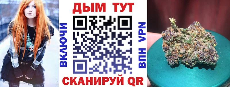 где можно купить наркотик  Новотитаровская  Марихуана конопля 